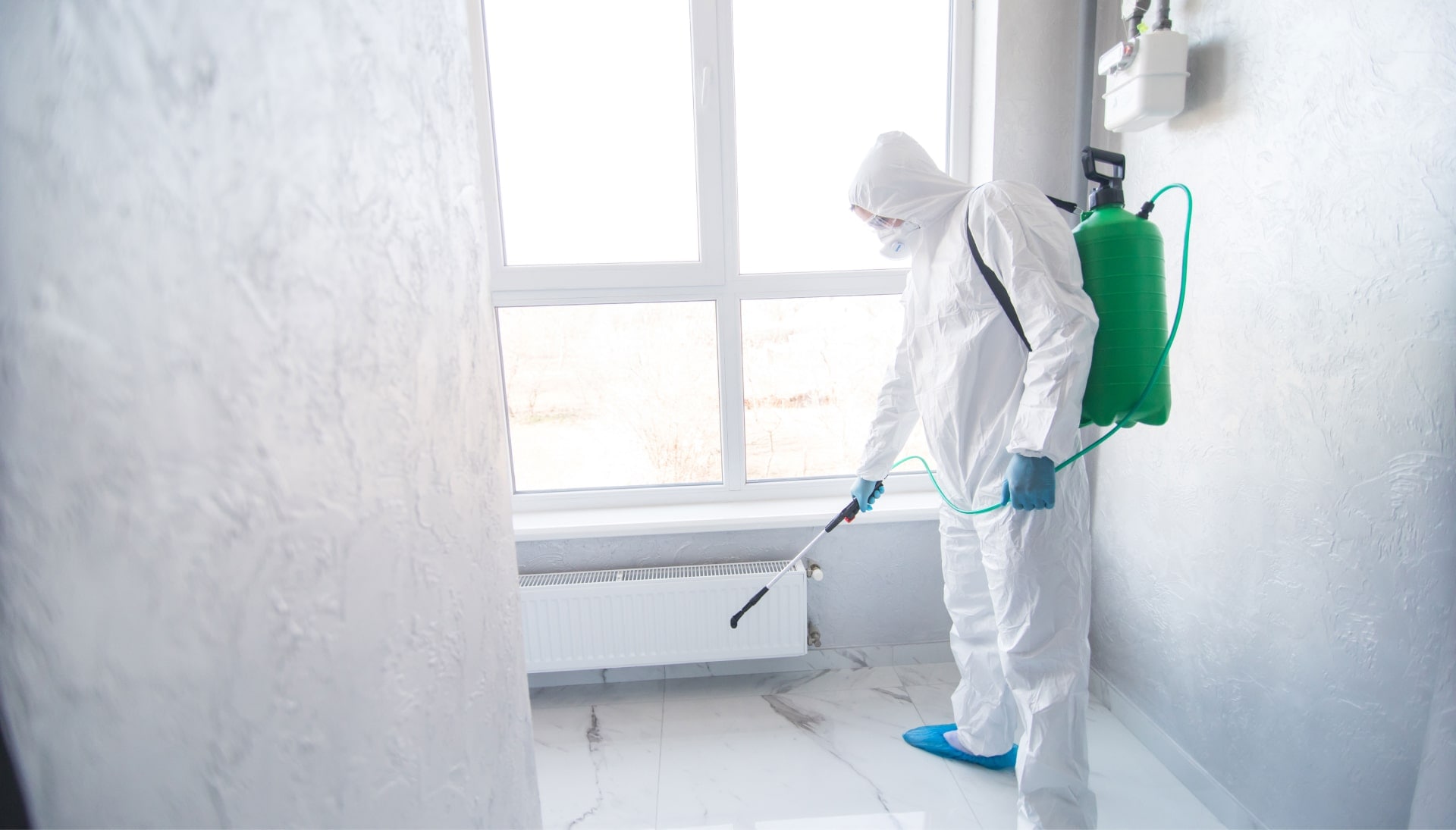 We provide the highest-quality mold inspection, testing, and removal services in the Baltimore, Maryland area.